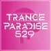 Trance Paradise 529