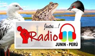 RADIO JJ JUNIN