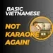 Basic Vietnamese | Not karaoke again!