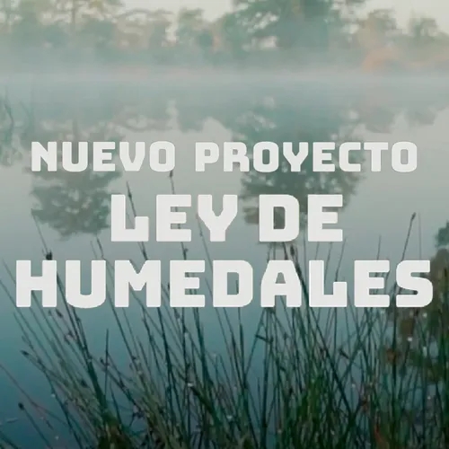 🌱 PRESENTAMOS UN NUEVO PROYECTO DE LEY DE HUMEDALES