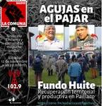 AGUJAS EN EL PAJAR, FUNDO HUITE, recuperación territorial y productiva en Paillaco