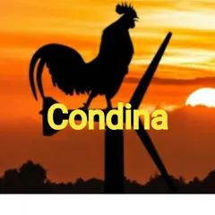 Condina Virtual