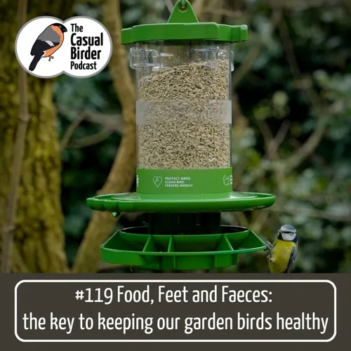 Food, Feet and Faeces: the key to keeping our garden birds healthy #119