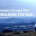 Walking The Dog - Episode 3