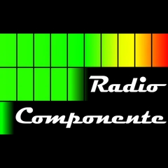 RADIO COMPONENTE MX