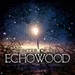Special 1: Winter of the Echowood