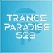 Trance Paradise 528