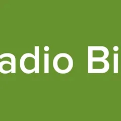 Radio Bizi