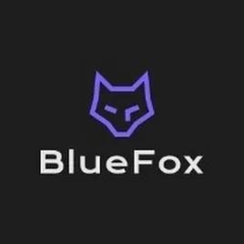 BlueFox radio