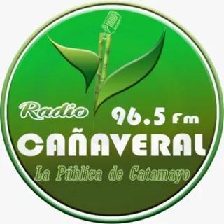 Radio Cañavera
