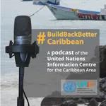 #BuildBackBetterCaribbean Ep 1 - Volunteer Center of Trinidad and Tobago Connecting people to causes that support the Sustainable Development Goals.