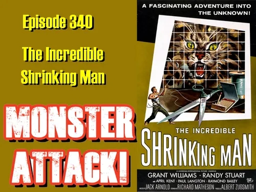 The Incredible Shrinking Man (Revisited) Episode 341
