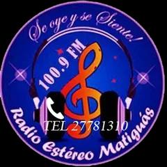 RADIO MATIGUAS  100 9 FM