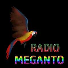 Radio Meganto