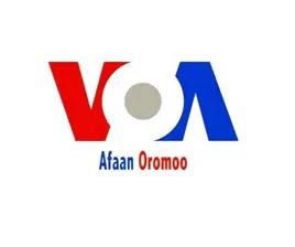 VOA Afaan Oromo CA