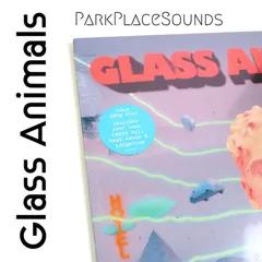 Glass Animals Radio