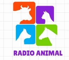RADIO ANIMAL