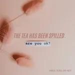 Bes-teas: Friendship/Relationship - Don't Cry Over Spilled Tea…or Do?
