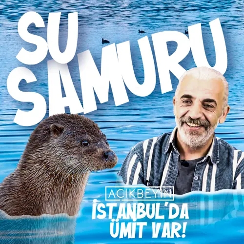 Medyatik Bir Canlı “Su Samuru” | İstanbul’da Ümit Var - B21