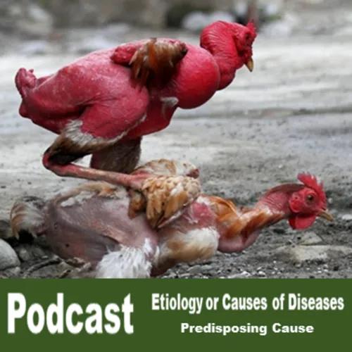 Predisposing Causes of Animal Diseases