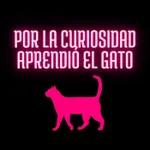 SOM 01 - Por La Curiosidad Aprendió El Gato