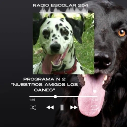 PROGRAMA N 2. RADIO ESCOLAR 254